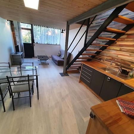 Appartement Centre Ville Au Calme Jardin Et Parking Public لا روشيل المظهر الخارجي الصورة