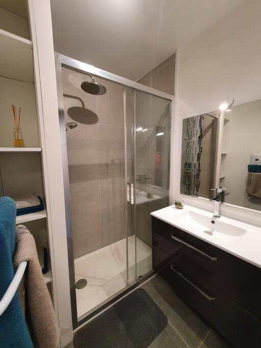 Appartement Centre Ville Au Calme Jardin Et Parking Public لا روشيل المظهر الخارجي الصورة